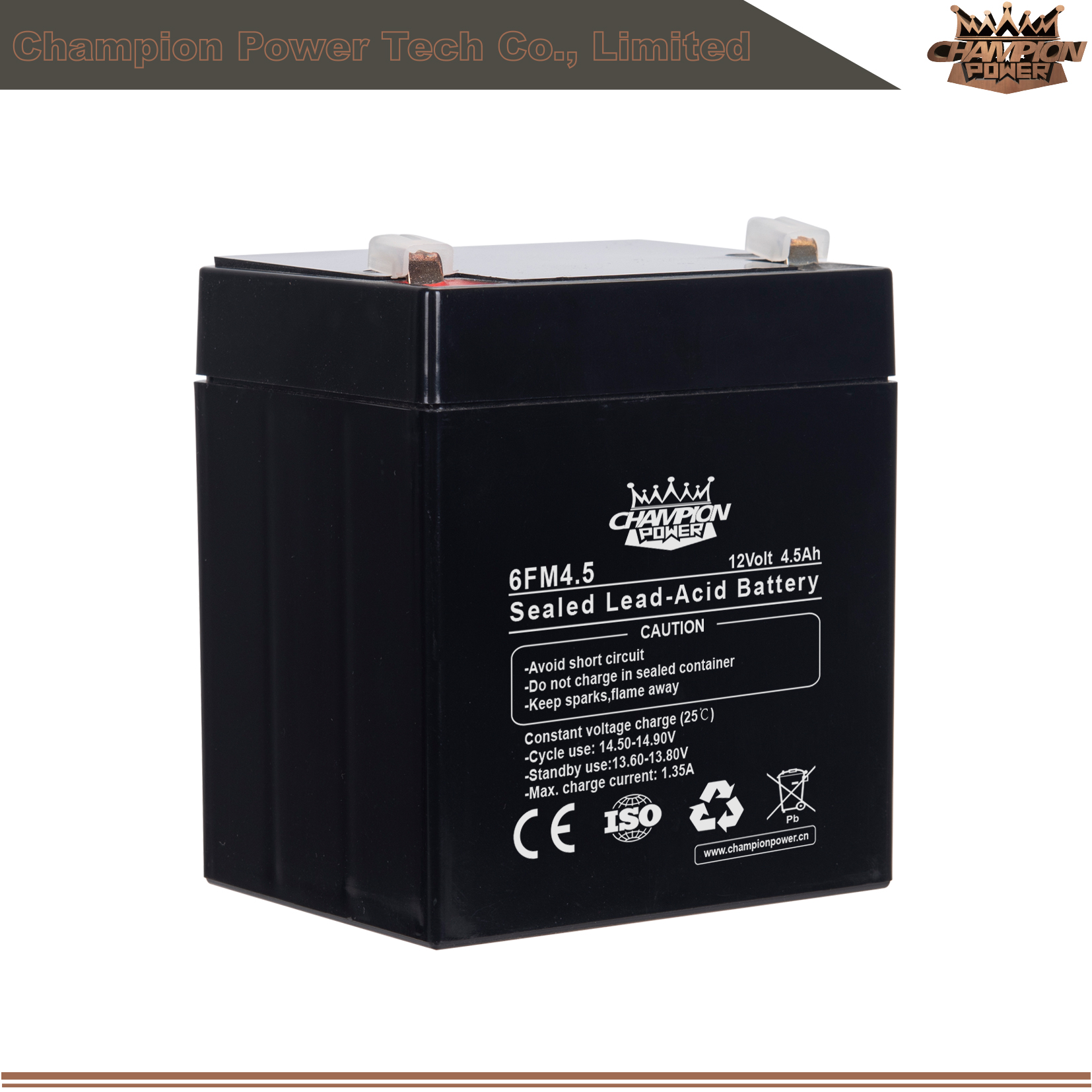 Batterie AGM 6FM4.5 12V4.5AH