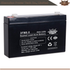 3FM8.0 Batterie AGM 6V8.0AH