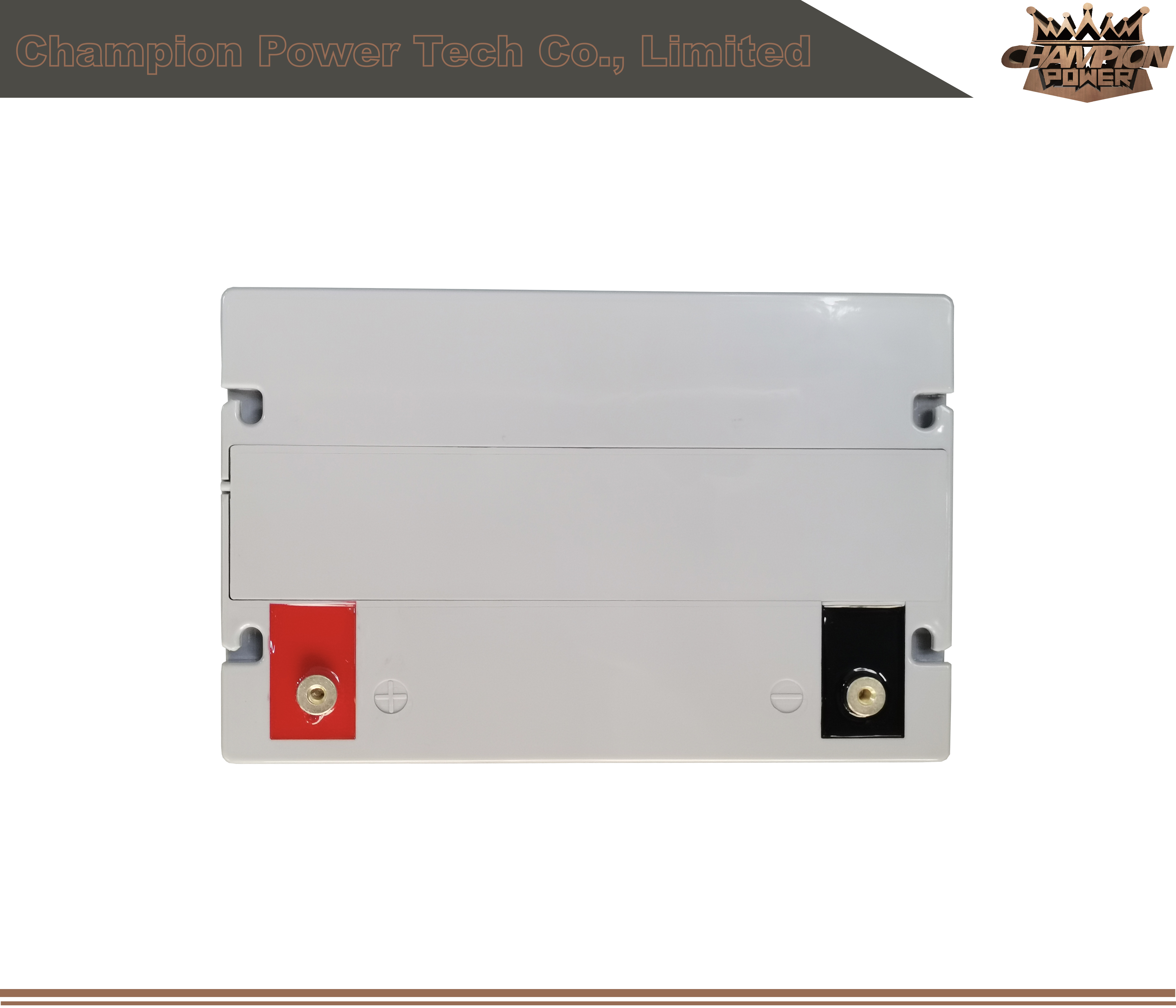 Batterie AGM 6FM80 12V80AH
