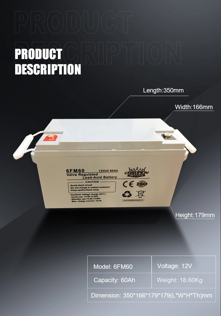 Batterie AGM 12V60AH