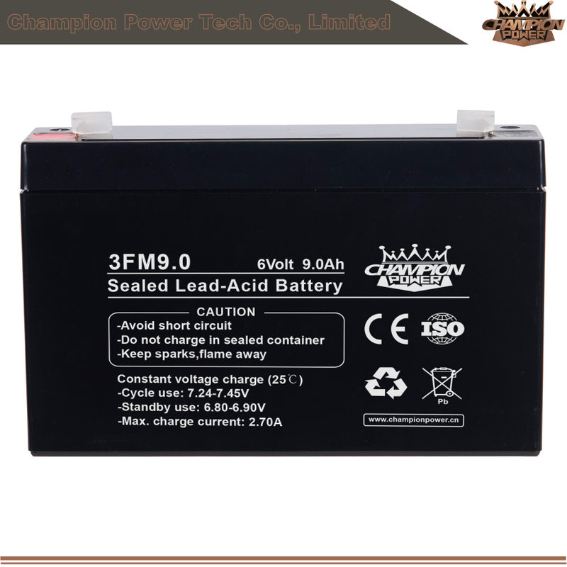 3FM9.0 Batterie AGM 6V9.0AH