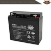 Batterie AGM 6FM18 12V18AH