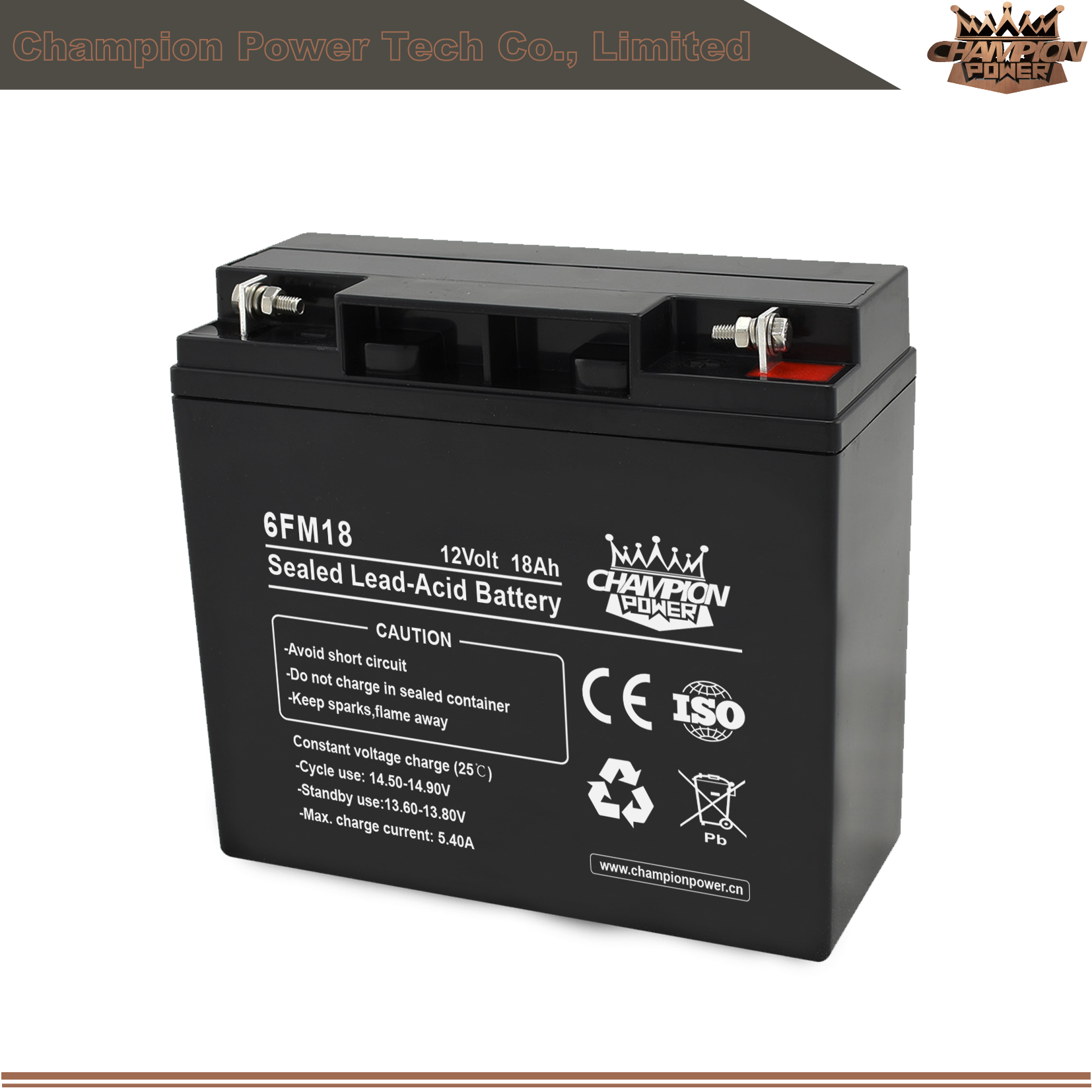 Batterie AGM 6FM18 12V18AH