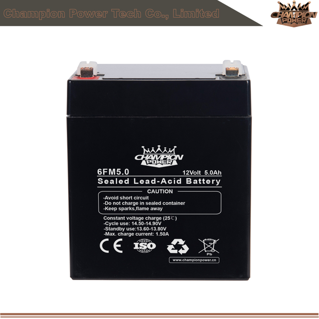 Batterie AGM 6FM5.0 12V5AH 
