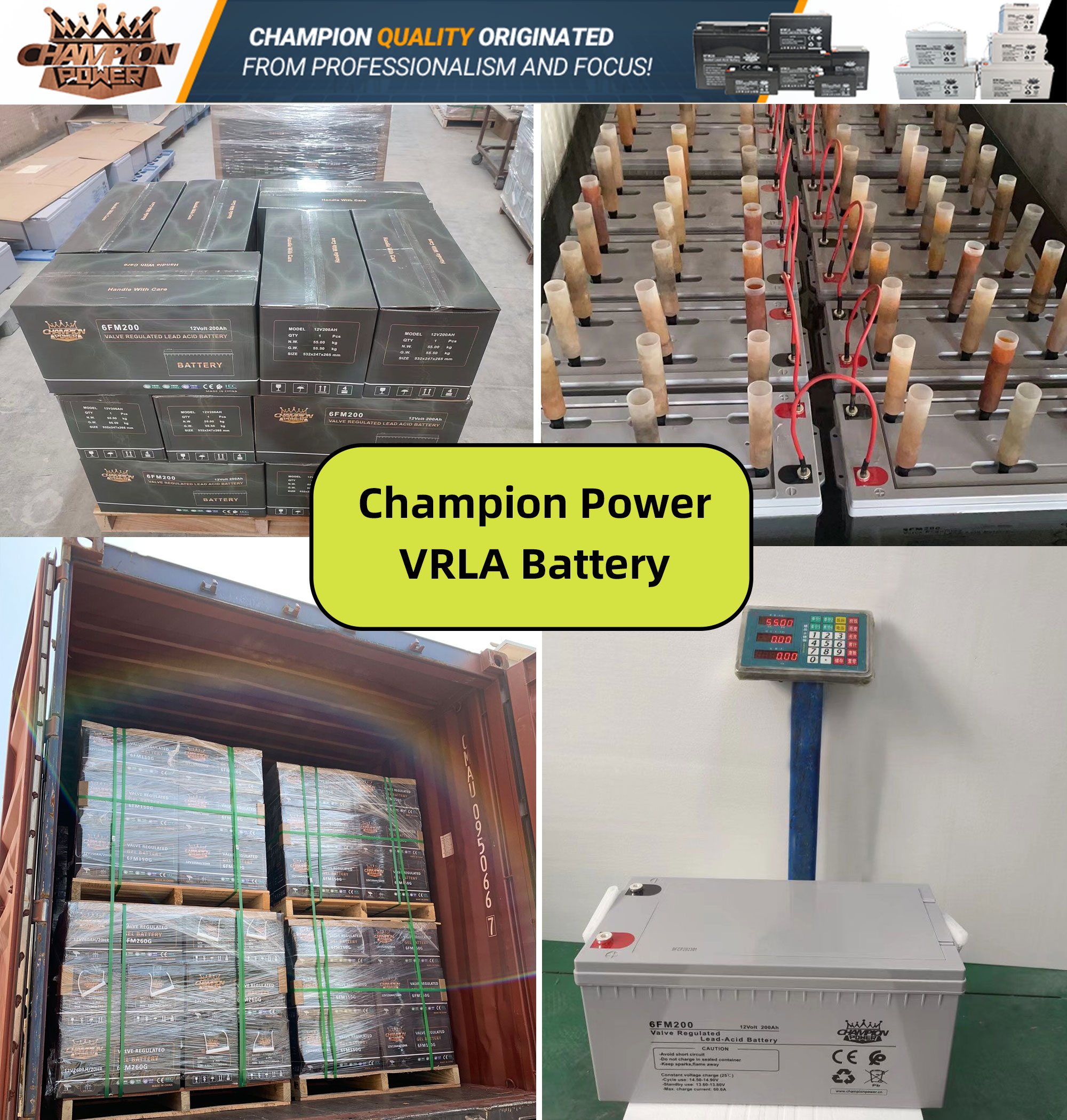 Champion Power VRLA Batteries - puissance fiable, performance exceptionnelle