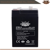 Batterie AGM 3FM4.0 6V4.0AH