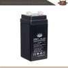 2FM4.5 4v4.5AH AGM Batterie