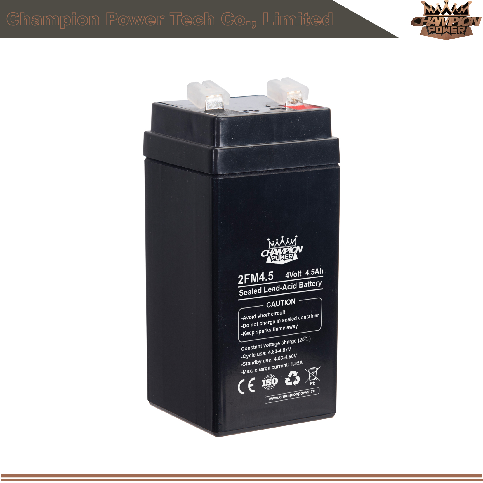 2FM4.5 4v4.5AH AGM Batterie