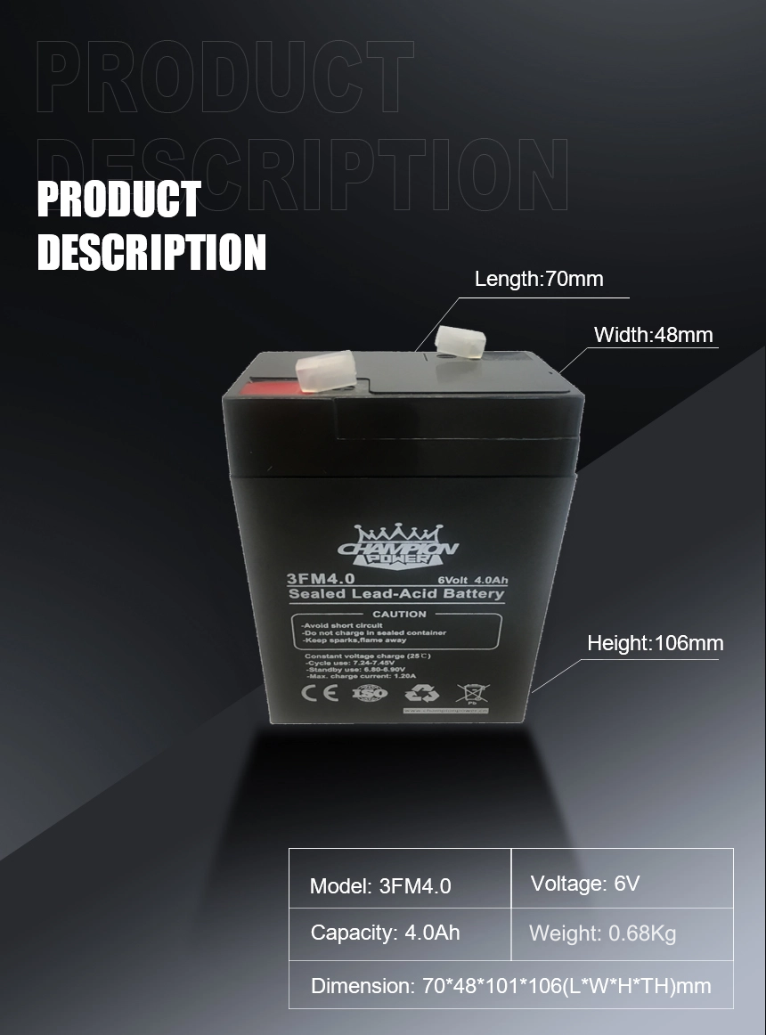 Batterie AGM 3V4.0AH