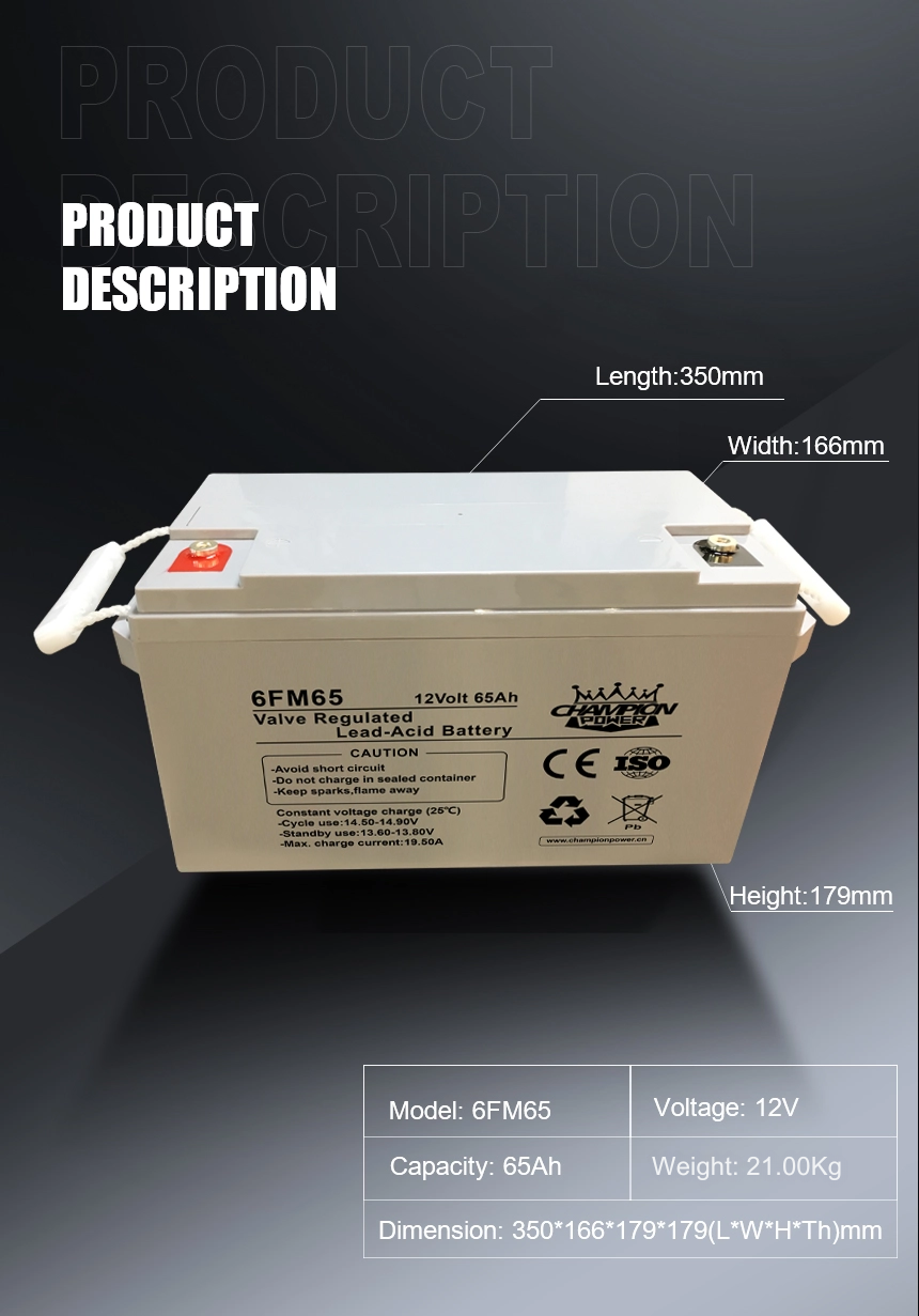 Batterie AGM 12V65AH