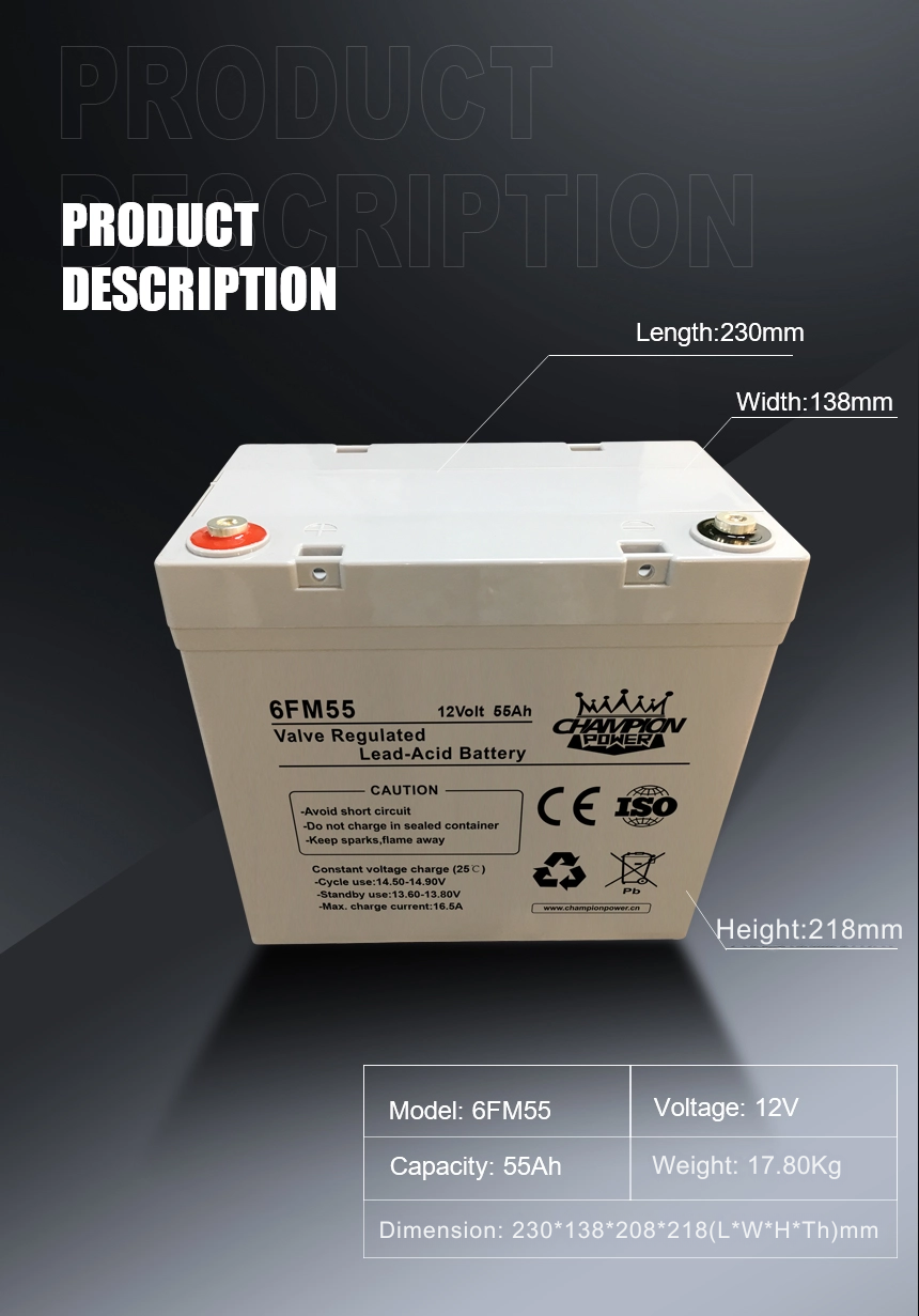 Batterie AGM 6FM5512V55AH