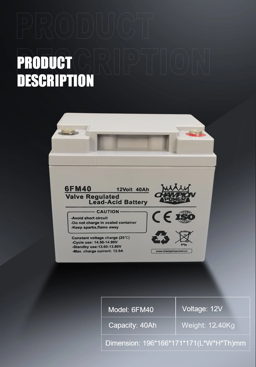 Batterie AGM 12V40AH